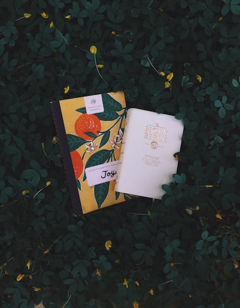 Mercy in Everyday Life